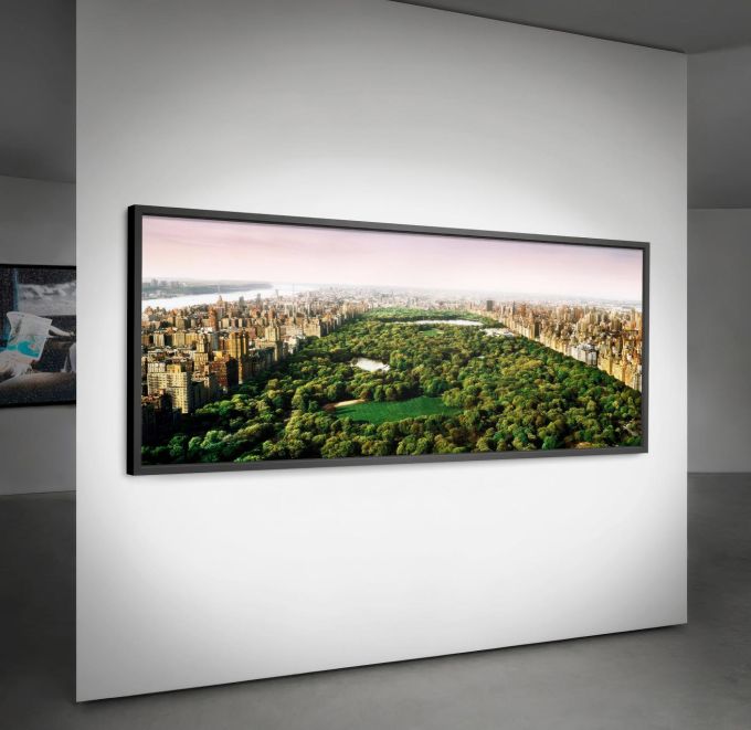 Dreams of Central Park