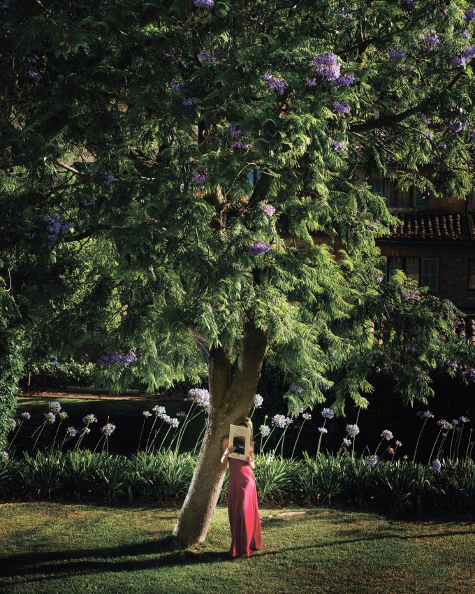 Garden Fever