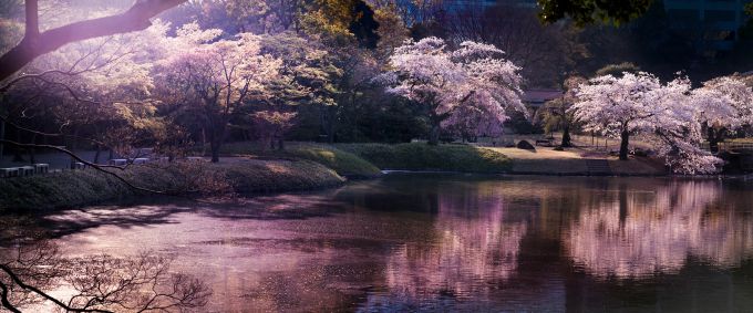 PINK HOUR