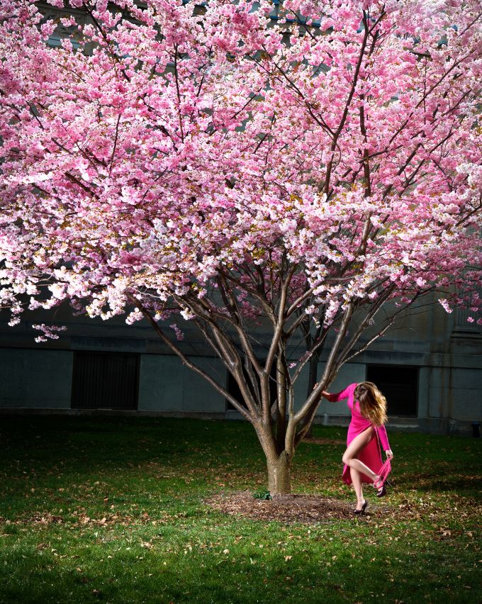PINK MOMENT