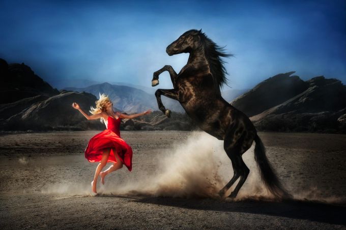 WILD AT HEART