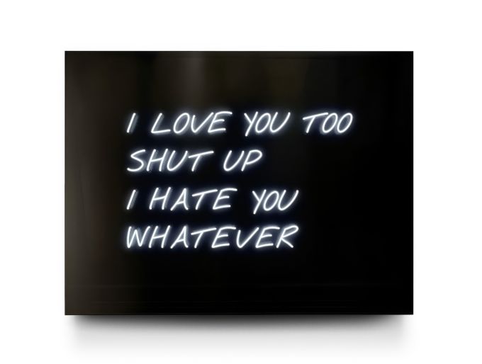 I LOVE YOU TOO SHUT UP I HATE YOU WHATEVER