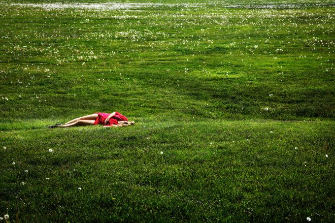 FIELD OF DREAMS