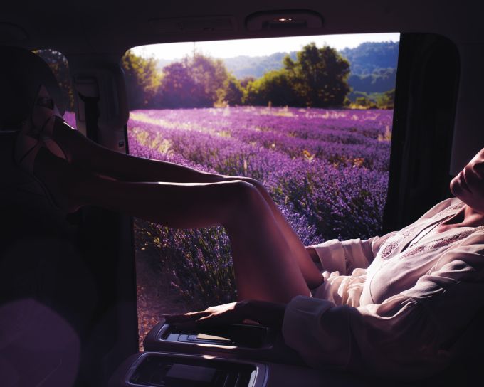 Purple Haze