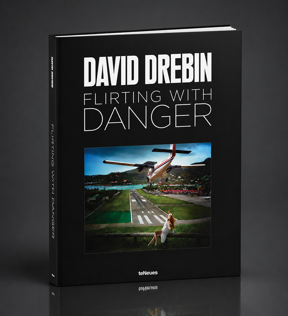 Flirting with Danger book cover
